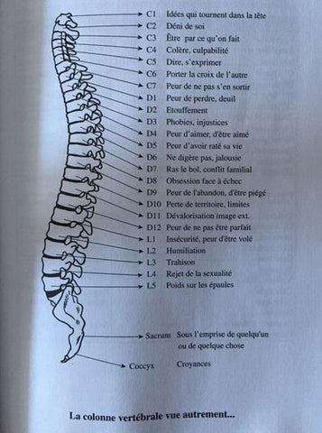 Cartographie des émotions de la colonne vertébrale