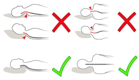 Oreiller orthopédique à mémoire de forme pour une bonne position des vertèbres cervicales et dorsales